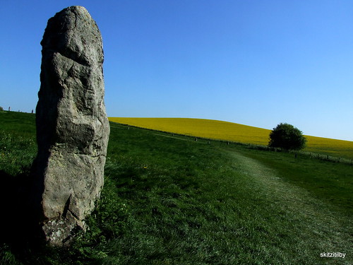 standing stones at Avebury by skittzitilby