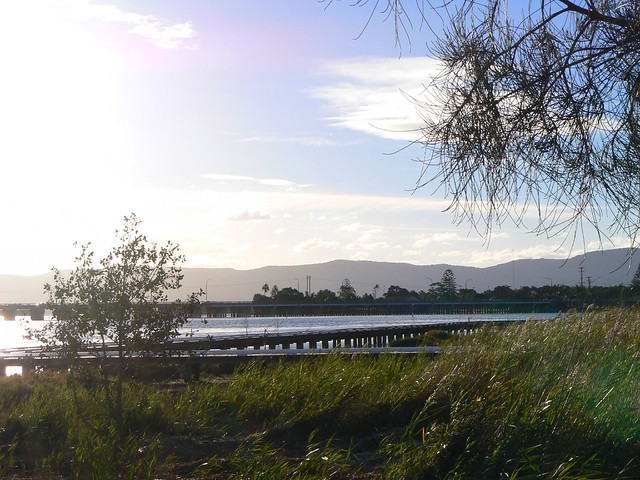 Lake Illawarra, near the entrance at Windang