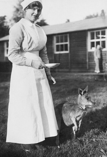 Australian nurse with a kangaroo mascot