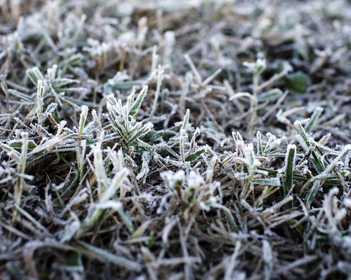 morning frost va manassas dcist battlefield