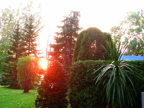sunset summer restaurant inn 2006 été spa auberge coucherdusoleil privategarden jardinprivé mimosamichemichelle michellebéchardlalonde ✿img2767mf ⌘⌘montérégie ⌘saintmarcsurrichelieu ⌘⌘rivesudsouthshore ⌘⌘⌘⌘canada ⌘⌘⌘québec