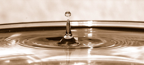 Drop 4 | by MXW