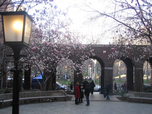 NYU Law in Spring (dusk)