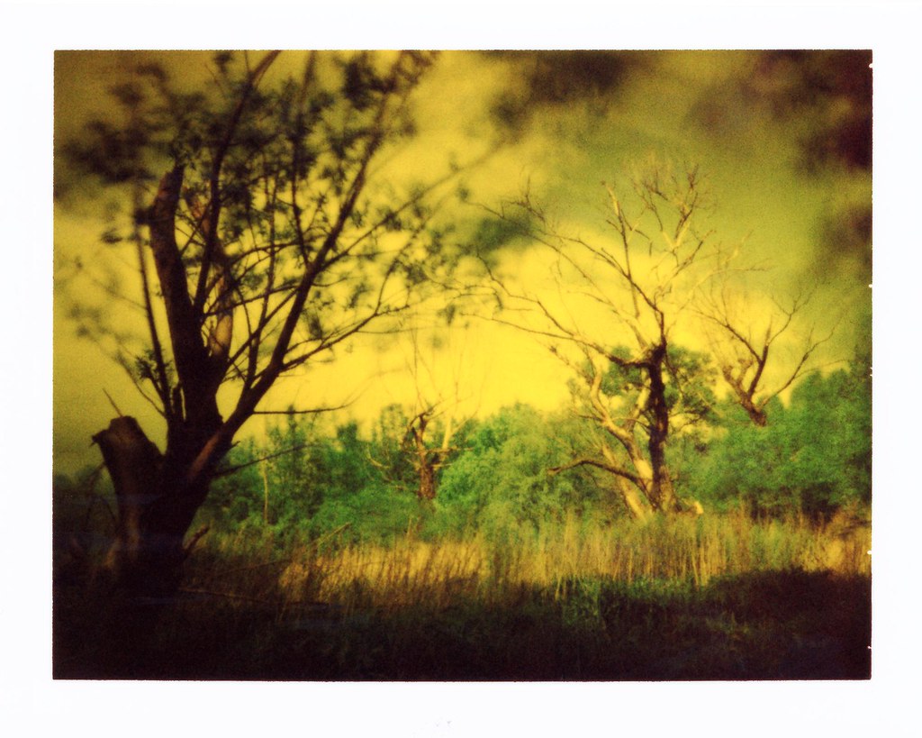yellow1bb by jonespointfilm