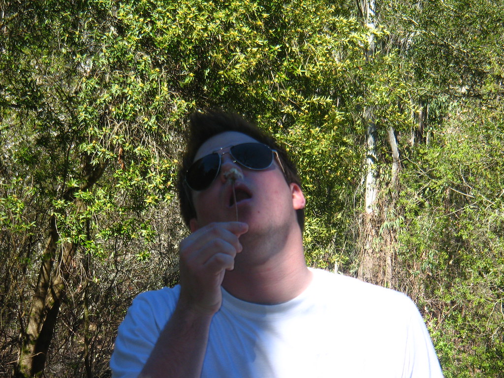 Chris Blows