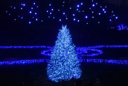 Starry Starry Christmas Night by glenOX [glen navarra]