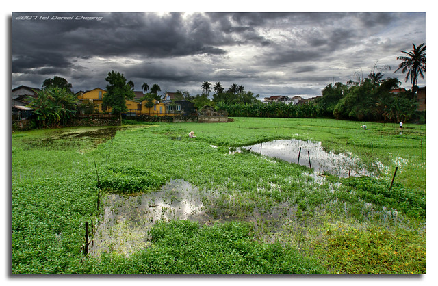 One Day in Hoi An #7
