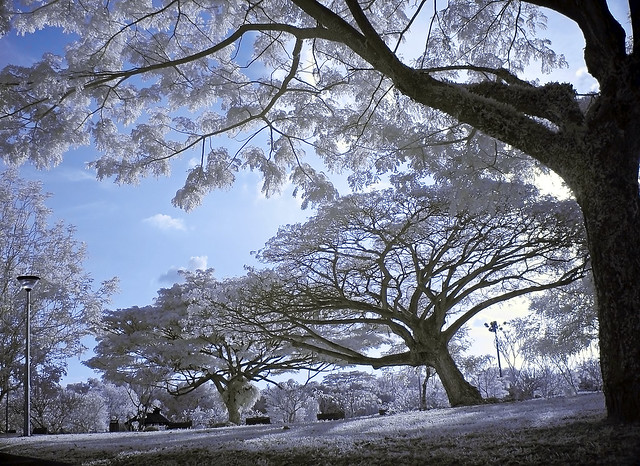 Pasir Ris Park