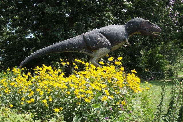 Daspletosaurus at Jurassic Garden