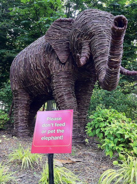 Please do not feed the elephant.