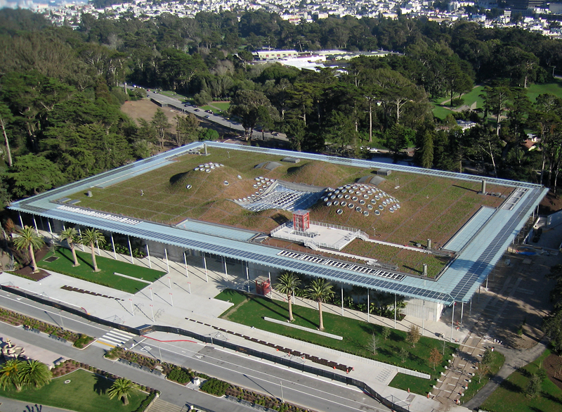 California Academy of Sciences by Michael Layefsky