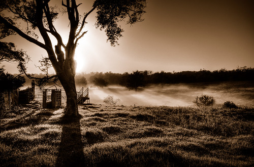 Misty Morning Sunrise by andrewfuller62