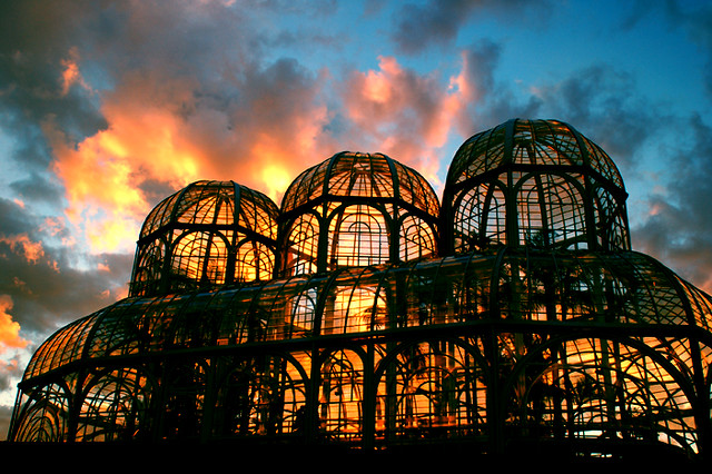 Another day goes by... (Botanic Garden - Greenhouse)
