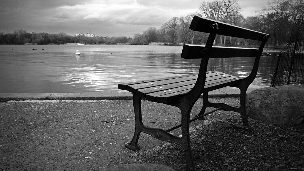 Lonely Bench by the Lake  [103/365] by Lab2112