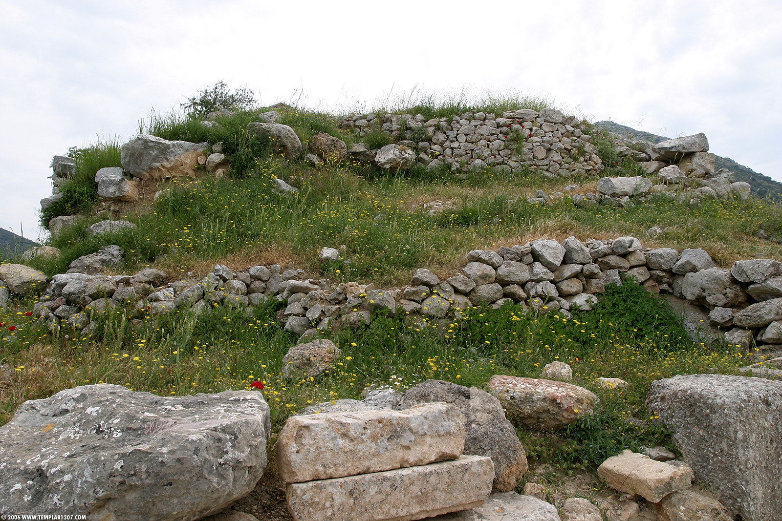 GR06 0205 Mycenae
