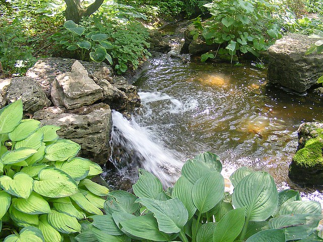 Toledo Botanical Gardens