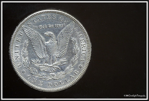 1903 silverdollar morgandollar herbdunn dunnrightphotography