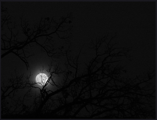 Alla luna... | O graziosa luna, io mi rammento che, or volge… | Flickr