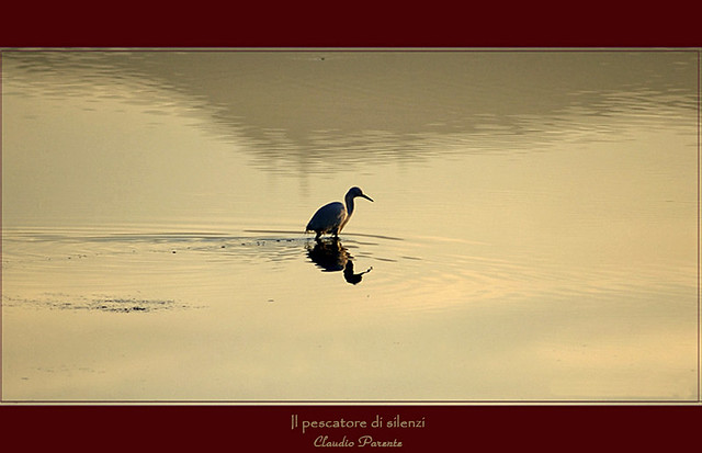 il pescatore di silenzi  - the fisherman of silences