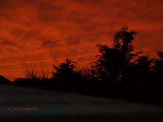 Sunrise over Montrose