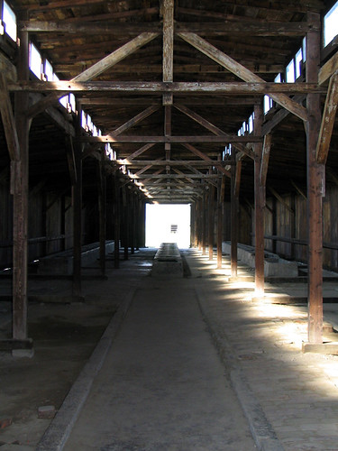 Barracks at Birkenau