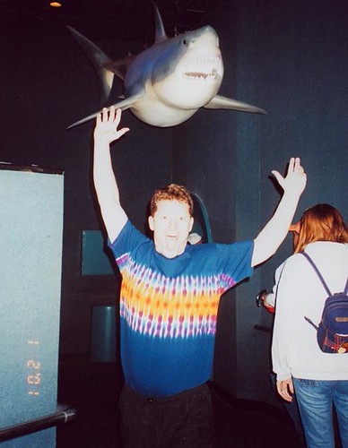 SharkAttack | by Michael C. Meyer