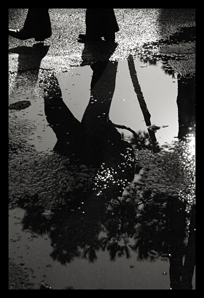 Reflection, Imitation, Experience | [...] By three methods w… | Flickr