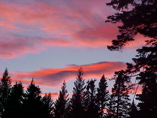 sunset herbdunn dunnrightphotography treeofhonor