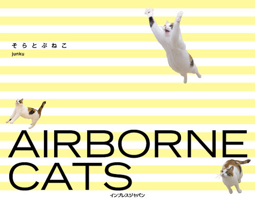 “Airborne cats” Book version