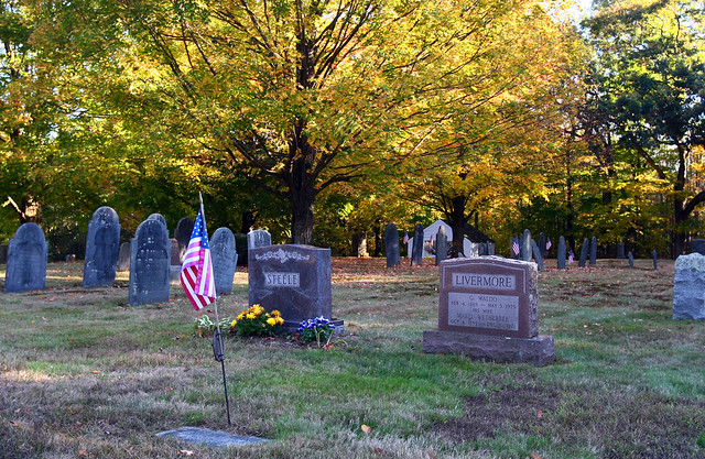 autumn in South Cemetery