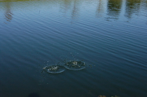 Concentric Circle 2 | by e61