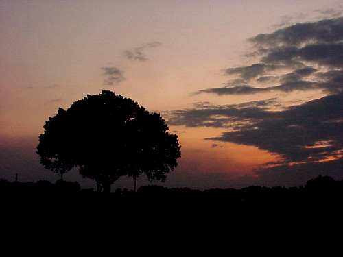 sunset sky silhouette rural florida okeechobee sonymavica wowiekazowie bestsun