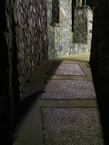 path | by Lianne Newman