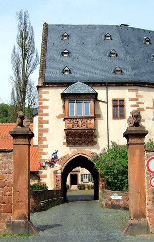 castle germany gate hessen graf entrance frog f30 2008 büdingen wetteraukreis