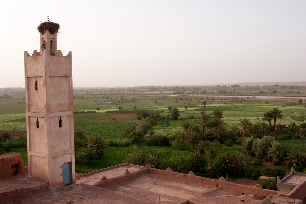 Around Ouarzazate (Warzazat, ⵡⴰⵔ ⵣⴰⵣⴰⵝ,  ورزازات‎,), Maroc (Morocco)