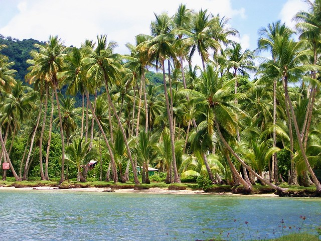 Chuuk shoreline 