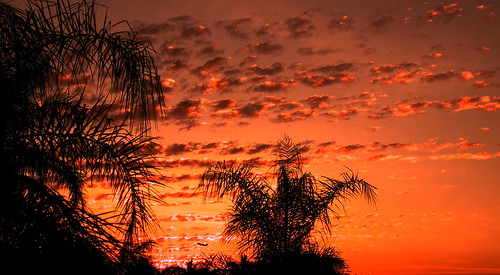 sunset palms australia takeoff townsville lightpainter northqueensland colourartaward olympuse30