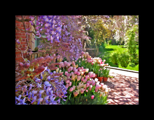 backyard revisited by Sunnyvaledave