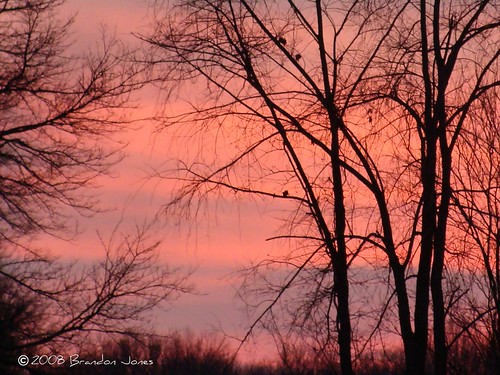trees sunset country indiana diamondclassphotographer flickrdiamond newmiddletown