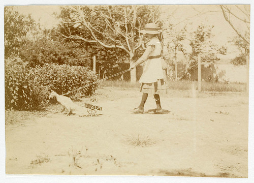 Girl with pet duck on lead from Sydney, ca. 1885-1890 / photographed by Arthur K. Syer | by State Library of NSW