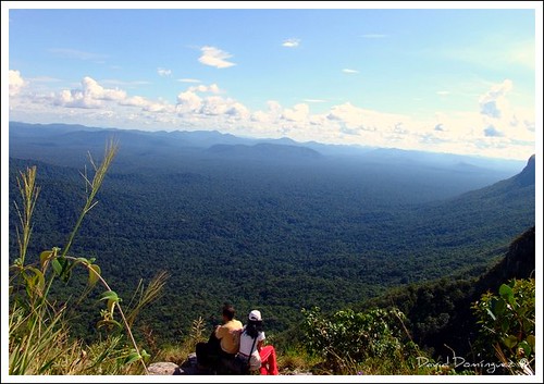 El Abismo, En el Paují.. La Gran Sabana