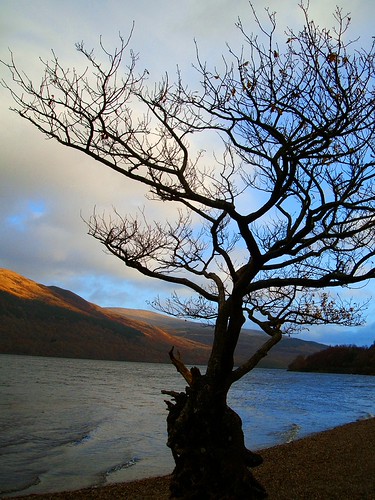as Dusk falls | by Scottish Nomad