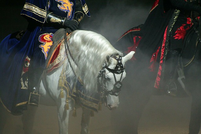 Medieval Times Andalusian