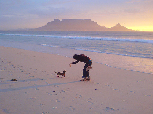 South African City