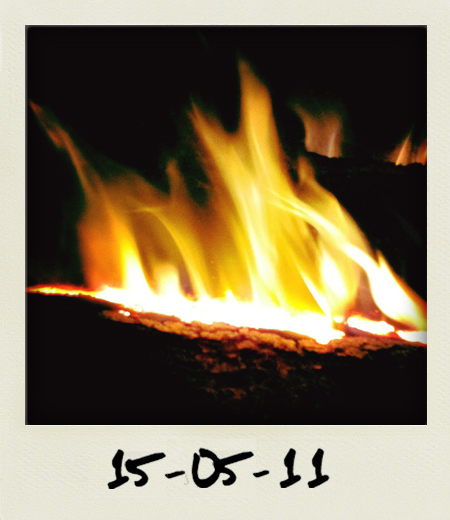 283-Le feu fascine