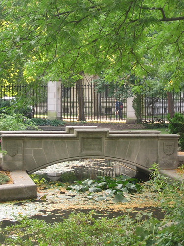 Botany Pond | by libathena