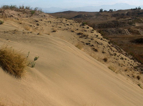 park hot nationalpark sand desert dunes philippines dry vegetation ilocos lapaz arid isolated sanddunes laoag luzon ilocosnorte northernluzon wowphilippines philippineislands ilocosregion lapazsanddunes ilocosnationalpark