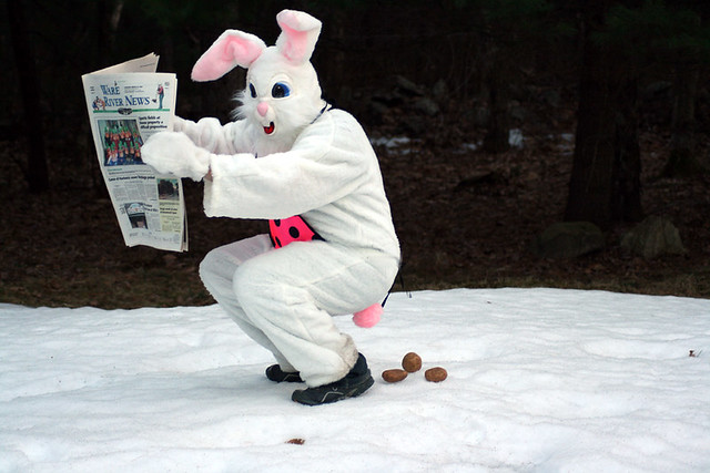 So, what did the Easter Bunny leave for you?