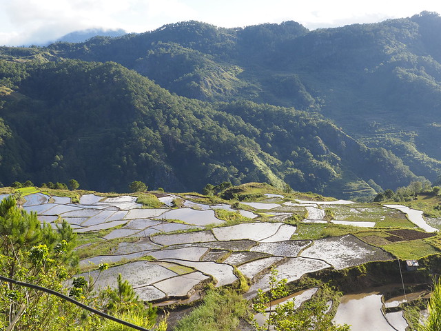 (c) Rice Terraces Sagada Mountain Province Cordilleras PH