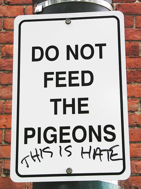 I hate pigeons, too.